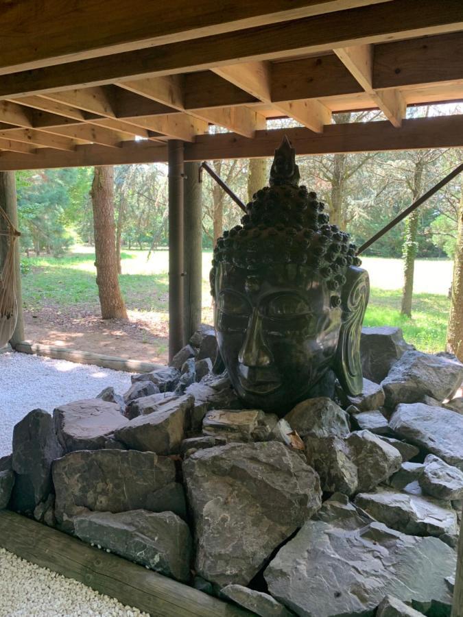 Gite Pont-A-Mousson, La Pepiniere Pagode Asiatique المظهر الخارجي الصورة